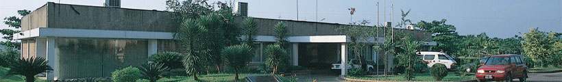 headerphoto